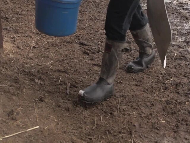 Men's Guide Gear® Waterproof 800 gram Thinsulate™ Ultra Insulation Canvas Top Rubber Boots Realtree® AP™ / Brown - image 3 from the video